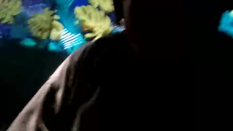 Snapshot of tennesseea chatting on November 23, 2025, 3:23 pm tennesseea online show from November 23, 2025, 3:23 pm