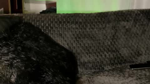 Teo online show from January 8, 2026, 4:09 pm