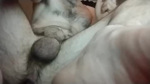 Toerry online show from January 19, 2025, 9:22 am