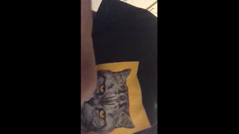 Call me Jason online show from December 17, 2025, 12:27 am