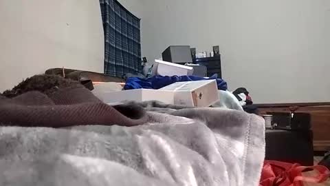 Snapshot of texasmade13 chatting on January 24, 2025, 7:30 am TexasDick online show from January 24, 2025, 7:30 am