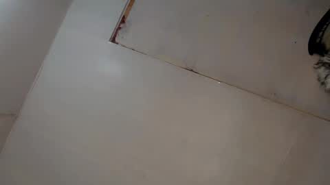 Luna online show from March 8, 2025, 3:06 am