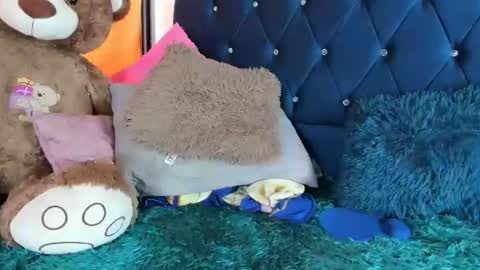 thania      sometimes in the company of Alan and Maria online show from January 11, 2026, 6:24 pm