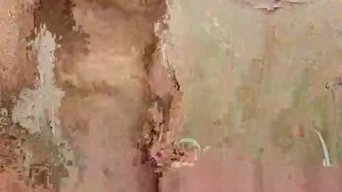 the1st_play_girl online show from December 30, 2024, 6:27 pm