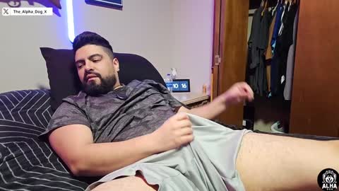 Snapshot of the_alpha_dog_xxx chatting on December 6, 2024, 4:14 am the_alpha_dog_xxx online show from December 6, 2024, 4:14 am