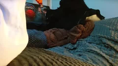 GIORGGIO online show from April 10, 2026, 12:38 am