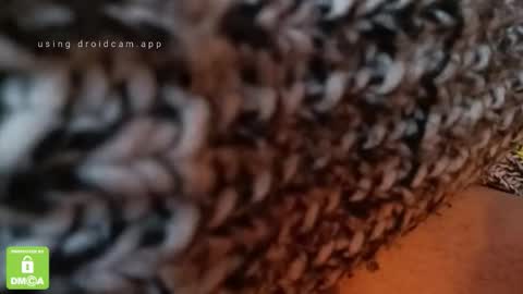 The Real Hanjob Couple online show from February 4, 2026, 11:49 am