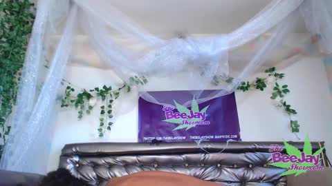 Snapshot of thebeejayshow chatting on December 4, 2024, 9:57 pm TheBeeJayShow online show from December 4, 2024, 9:57 pm