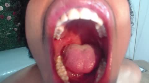 Flavor online show from March 14, 2026, 2:50 am