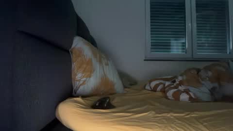 thefreebro online show from February 18, 2025, 11:55 am