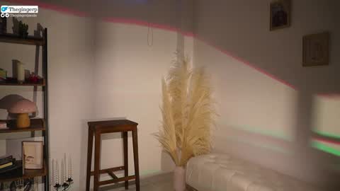   Streaming mostly at    online show from February 4, 2025, 9:52 pm