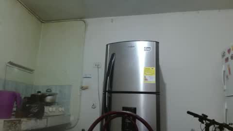 thehousedog online show from March 3, 2025, 3:09 pm