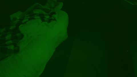 Snapshot of thehungmantis chatting on December 26, 2024, 4:32 am thehungmantis online show from December 26, 2024, 4:32 am