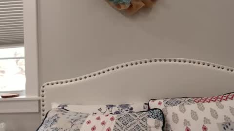 Snapshot of thelipsdown chatting on December 1, 2024, 6:19 pm Lacey online show from December 1, 2024, 6:19 pm