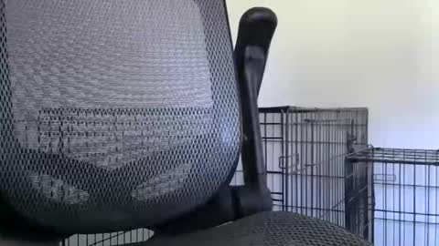 Snapshot of themaneb chatting on October 23, 2025, 2:49 pm themaneb online show from October 23, 2025, 2:49 pm