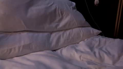 themikee818 online show from April 24, 2026, 1:24 pm