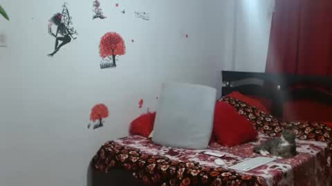 thepecadora online show from November 30, 2025, 12:14 am