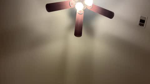 thesheezy12 online show from February 12, 2025, 5:15 am