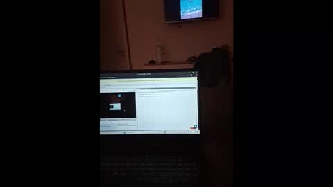 thesporttype online show from November 1, 2025, 7:27 pm