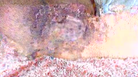 thetightestass14 online show from February 20, 2025, 8:36 pm