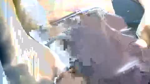 thickbong online show from October 11, 2025, 4:49 pm