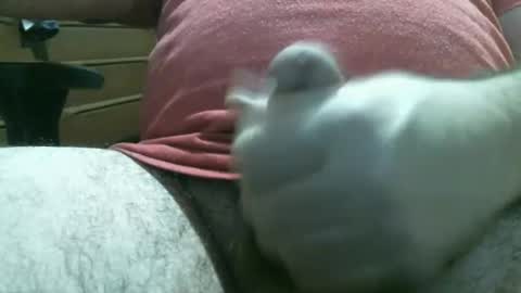 Snapshot of thomas0032 chatting on February 19, 2026, 3:02 am thomas0032 online show from February 19, 2026, 3:02 am