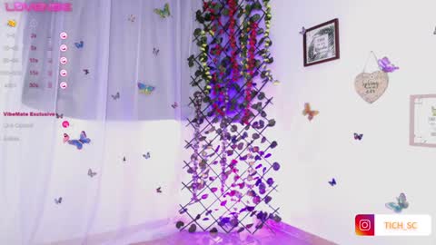 TICH online show from December 21, 2024, 12:16 pm