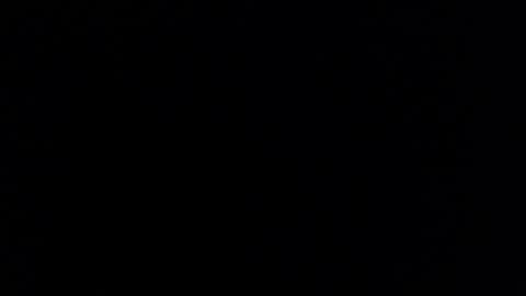 Tiffany Brewer online show from March 14, 2026, 11:43 pm