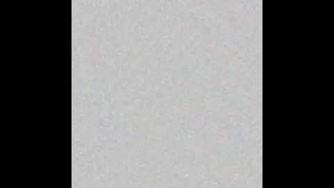 TimLooking online show from February 17, 2025, 10:07 am