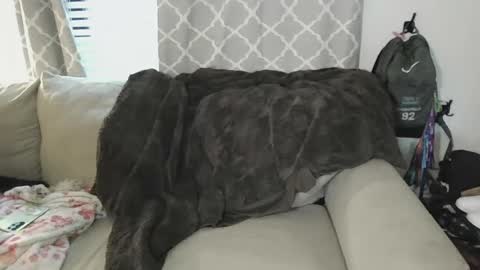 tittee mcgee online show from September 19, 2025, 6:41 pm