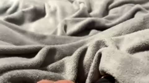 Snapshot of tmue chatting on February 27, 2026, 1:33 pm tmue online show from February 27, 2026, 1:33 pm