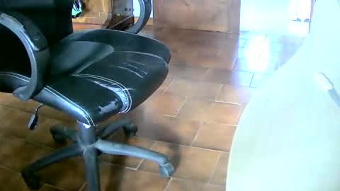 Tobiko online show from December 20, 2025, 2:24 pm