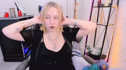 Tolli Moll online show from December 6, 2024, 12:16 pm