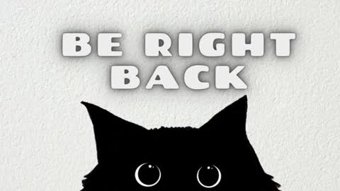 Tolli Moll online show from January 28, 2025, 11:49 am