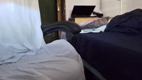 tolon408472 online show from November 4, 2025, 2:38 pm