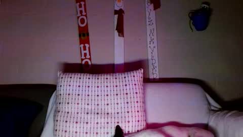 Snapshot of tomas_gerauld chatting on December 30, 2024, 3:14 am tomas gerauld. make me happy with 10000 tokens online show from December 30, 2024, 3:14 am