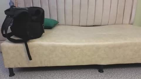 Tomas online show from March 29, 2026, 8:03 am