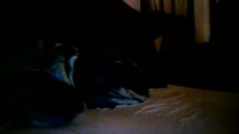 Snapshot of tommy_mackz chatting on March 2, 2026, 5:08 am tommy mackz online show from March 2, 2026, 5:08 am