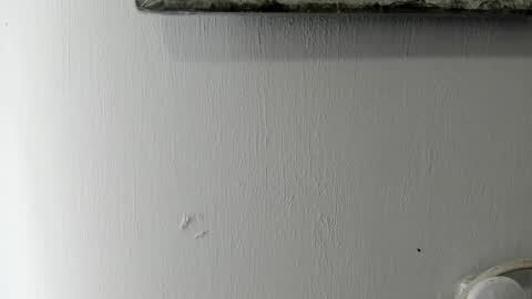 lady blue online show from January 6, 2025, 5:38 pm