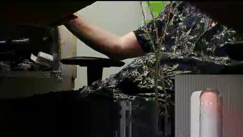 tontin69 online show from March 31, 2026, 12:12 am