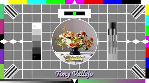 Snapshot of tony_vallejo chatting on October 14, 2025, 9:54 am Tony V online show from October 14, 2025, 9:54 am