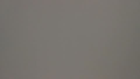 Tony online show from February 6, 2025, 11:10 am