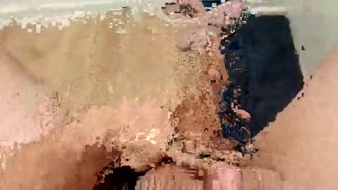 ARKANSAS THICK WOOD online show from March 4, 2026, 2:28 am