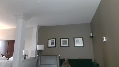 toomuchsmoke online show from February 6, 2025, 12:22 am