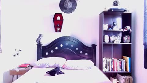 toothyy online show from January 19, 2025, 2:59 pm