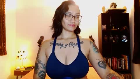 toothyy online show from February 1, 2025, 12:51 am