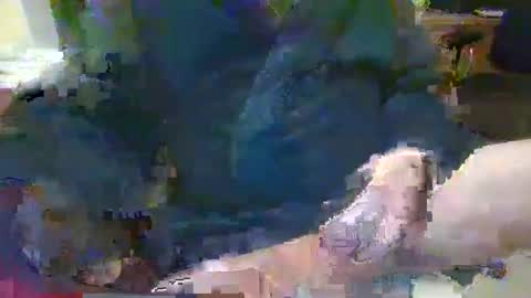 Snapshot of topcat127 chatting on January 26, 2025, 7:10 am Topcat127 online show from January 26, 2025, 7:10 am