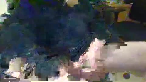 Snapshot of topcat127 chatting on March 5, 2025, 6:23 am Topcat127 online show from March 5, 2025, 6:23 am