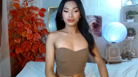 toptrans venice online show from April 11, 2026, 7:13 am