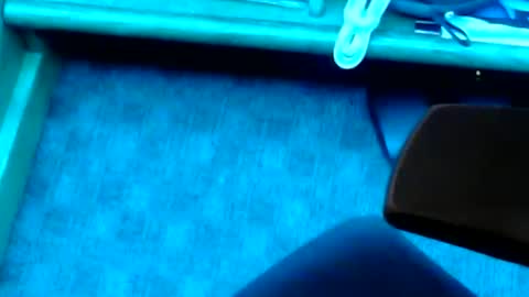 tornne online show from February 2, 2025, 1:19 pm